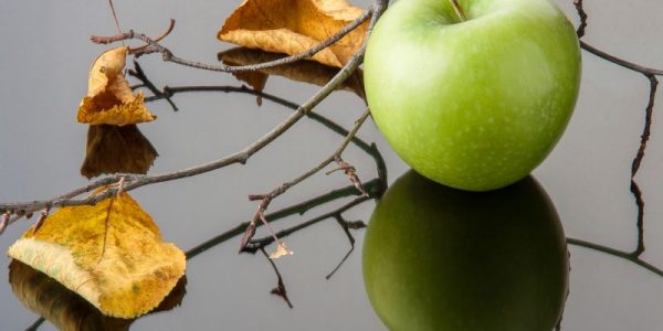Atakujące jabłonie szkodniki i skuteczne metody zwalczania