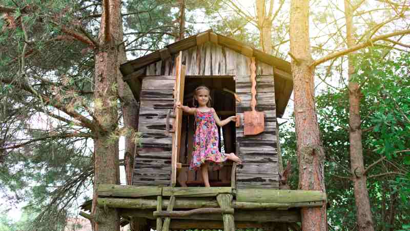 Zabawny domek dla najmłodszych - chatka w ogrodzie na pniu i w koronach drzew