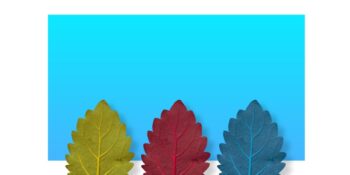 Ogrody z dębami - pielęgnacja oraz najpiękniejsze odmiany drzew ozdobnych